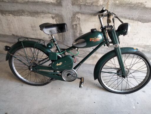 Aquilotto bianchi anno 1960