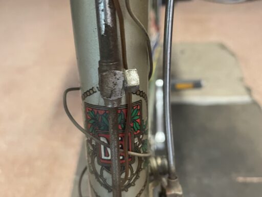 Bicicletta umberto dei donna