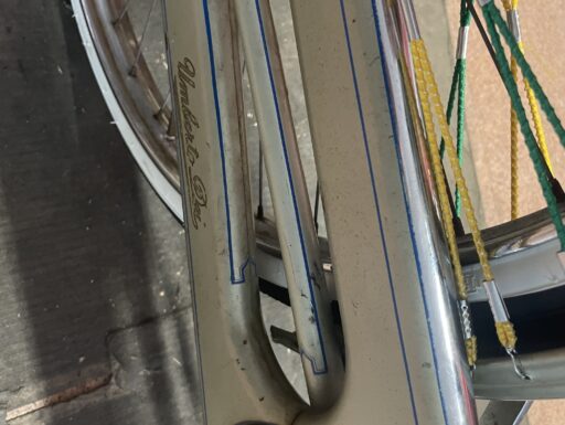 Bicicletta umberto dei donna