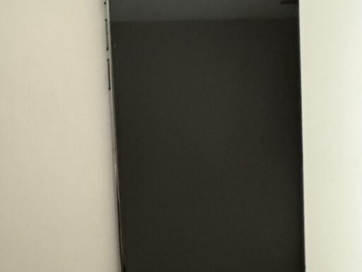 Iphone 13 pro max 256 gb