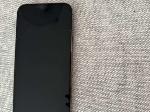 Iphone 13 pro max 256 gb