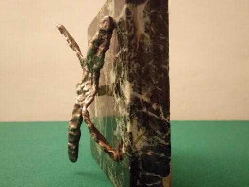 Stella marina bronzo