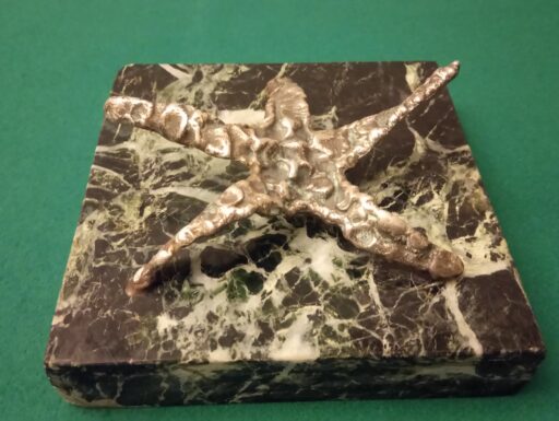 Stella marina bronzo