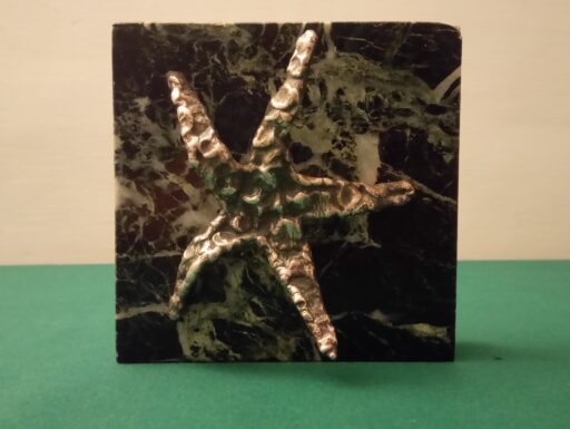 Stella marina bronzo