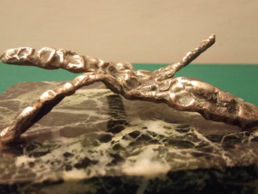 Stella marina bronzo