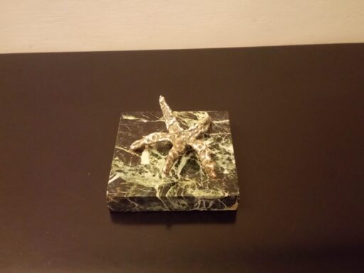 Stella marina bronzo