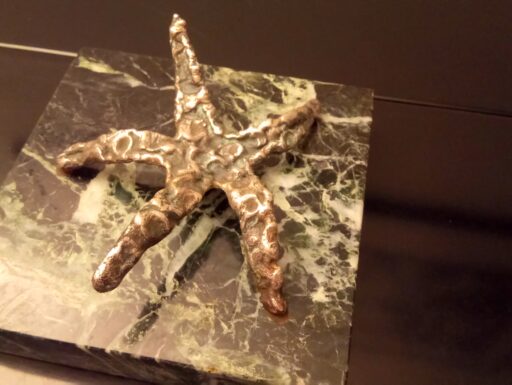 Stella marina bronzo