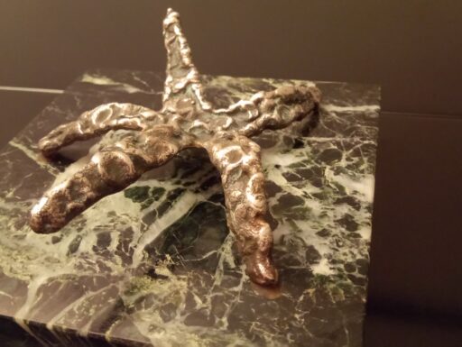 Stella marina bronzo