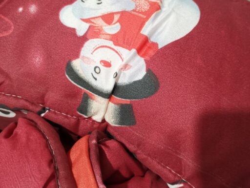 Trapunta matrimoniale