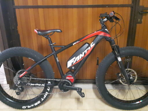 Bicicletta elettrica servoassistita fantic