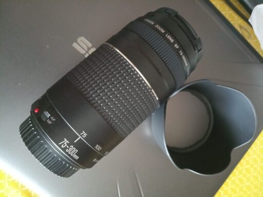 Reflex canon eos 2000d + canon ef-s 18-55 + canon ef 75-300