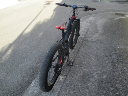 Bicicletta elettrica servoassistita fantic