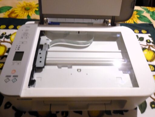 Canon pixma serie ts3551i stampante multifunzione