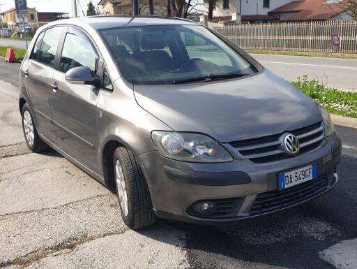Volkswagen golf plus 1.9 tdi 105 cv