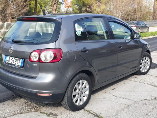 Volkswagen golf plus 1.9 tdi 105 cv