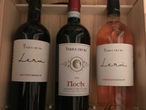 Confezione vini cantine terre dei re