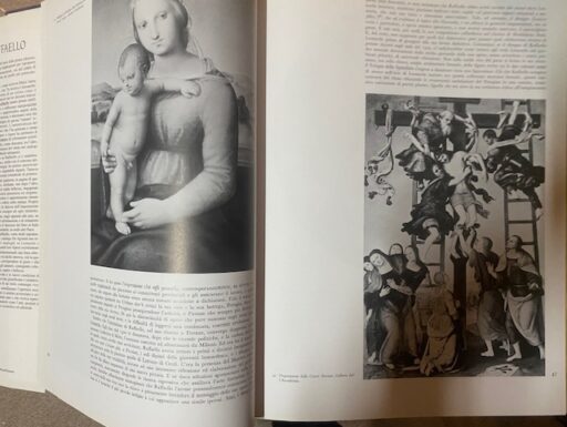 Raffaello. la pittura, i disegni