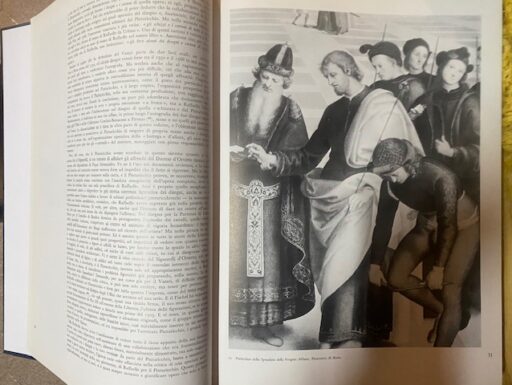 Raffaello. la pittura, i disegni