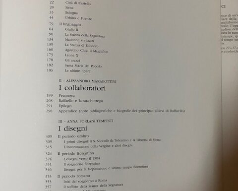 Raffaello. la pittura, i disegni