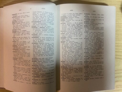 Vocabolario napoletano - italiano