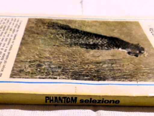 Phantom selezione numero 16 fratelli spada