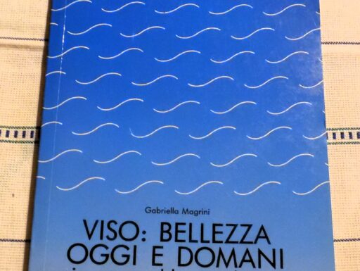 Viso: bellezza, oggi e domani di gabriella magrini