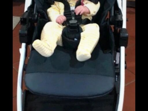 Trio peg perego book 51