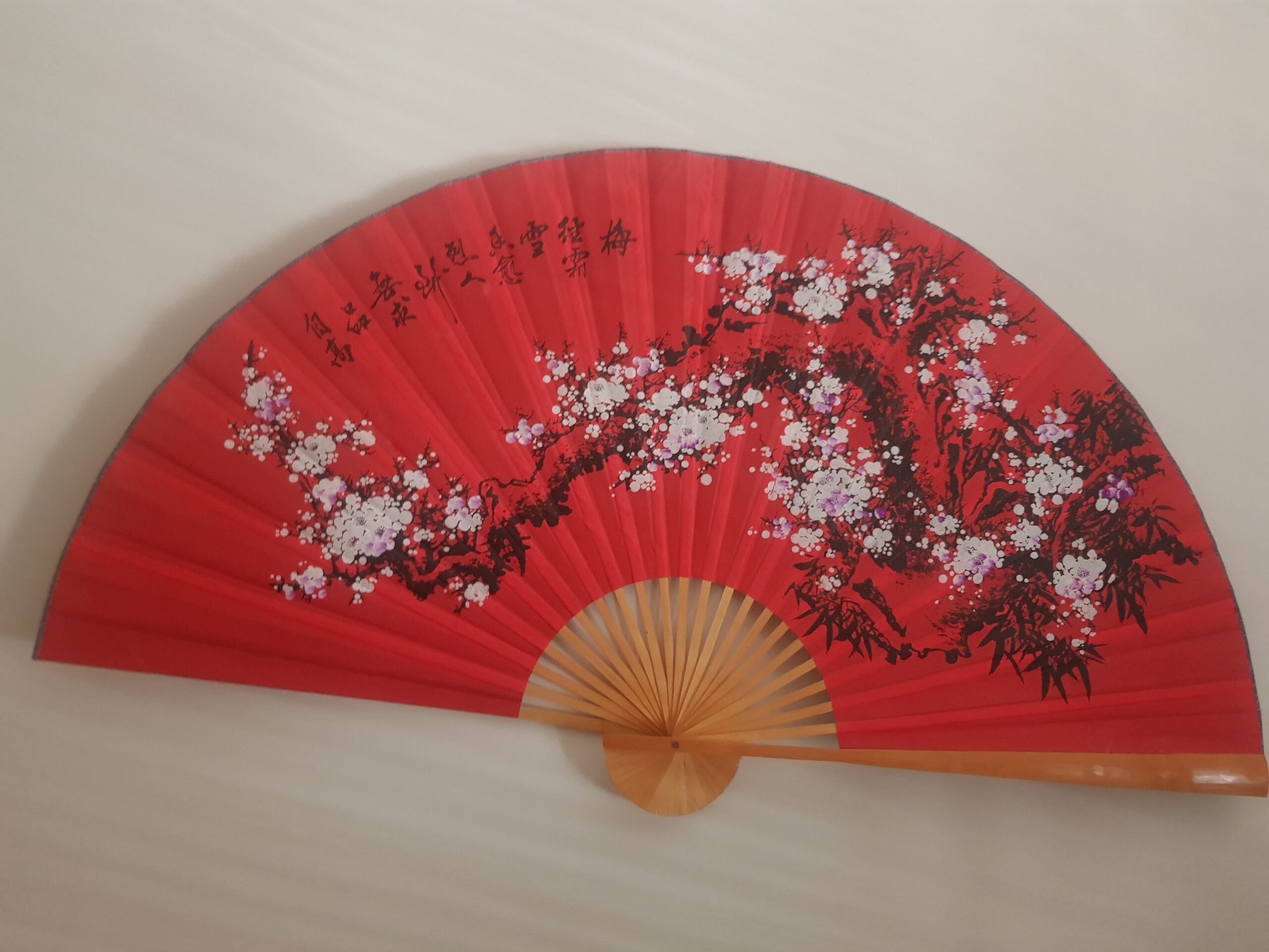 Ventagli da appendere