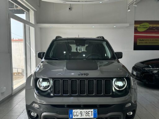 Jeep renegade 2.0 mjt 170 cv dreil hawck