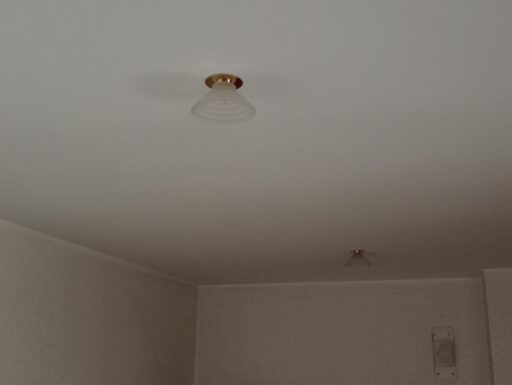 Faretti a cono alogeni 24 volt 50 watt