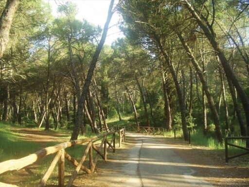 Casa vacanza in puglia