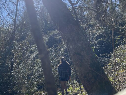 Salvadivano copri divano 2posti