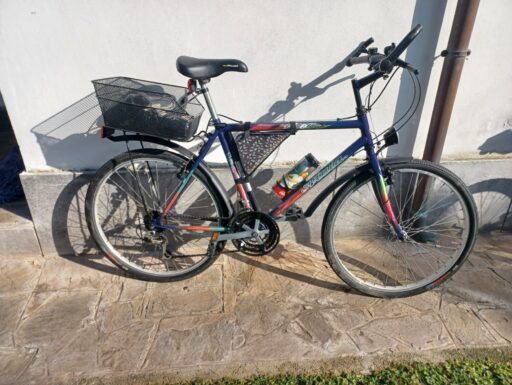 Bicicletta da uomo atala