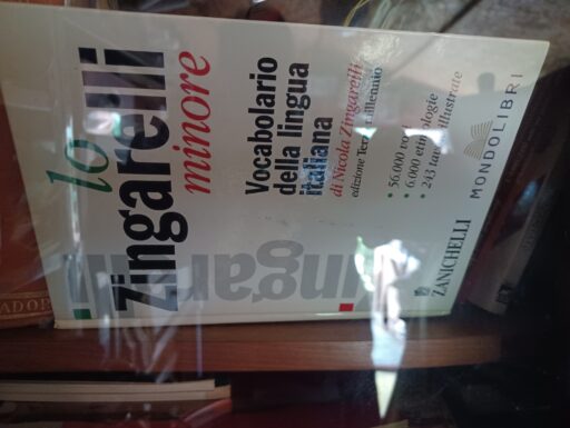 Dizionario lingua italiana zingarelli