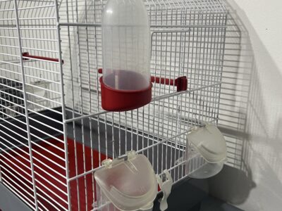 Gabbia per uccelli maxi compresa di accessori
