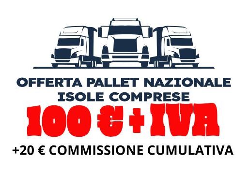 Trasporto nazionale isole comprese pallets 120x80