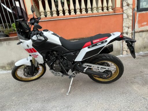 Tenerè relly ediction