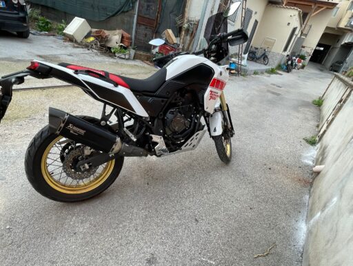 Tenerè relly ediction