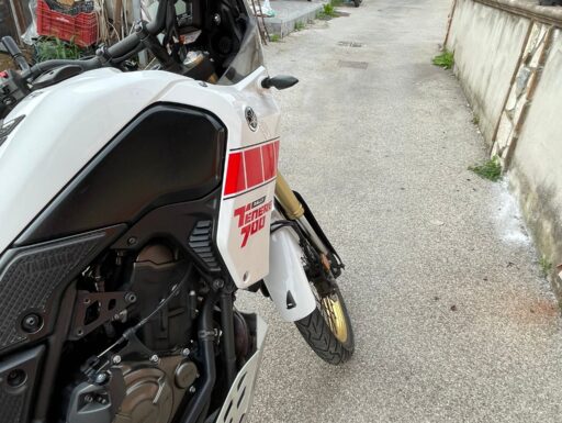 Tenerè relly ediction