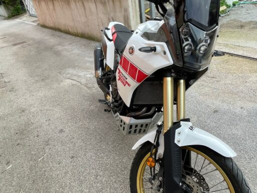 Tenerè relly ediction