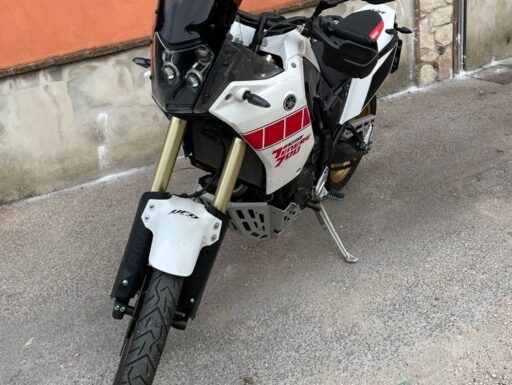 Tenerè relly ediction