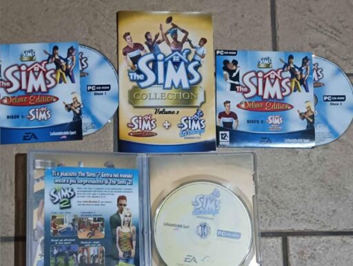 Giochi pc the sims