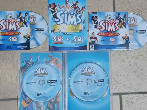 Giochi pc the sims