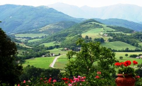 Vigna vigneto colline oltrepo' pavese e piacenza