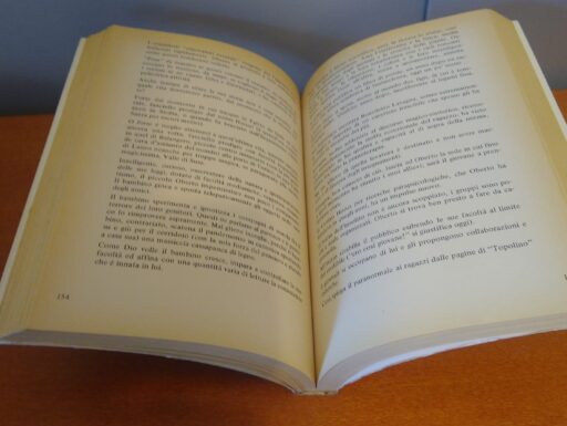 Torino città magica