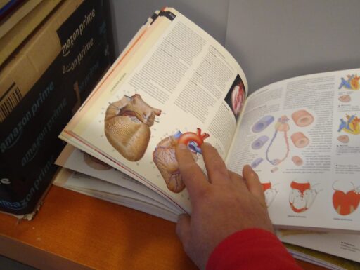 Atlante di fisiologia umana