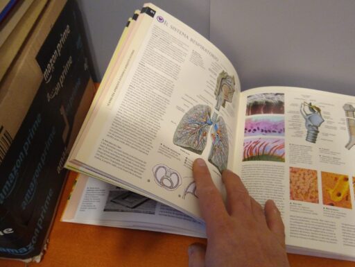 Atlante di fisiologia umana