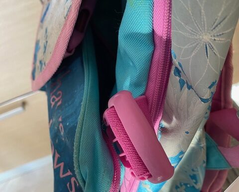 Zaino scuola frozen