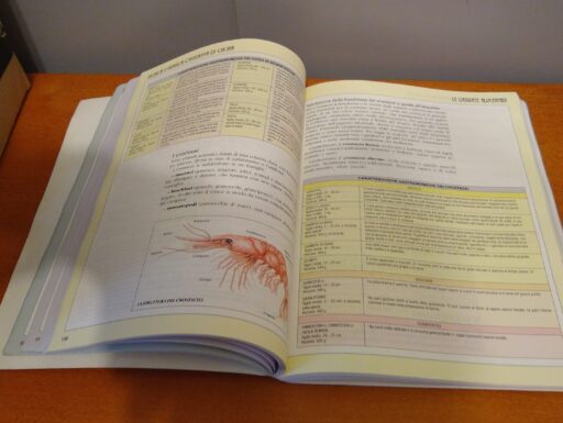 Tecnica e pratica operativa di cucina 1