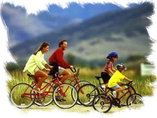 Venice bike rental noleggio bici lido di venezia